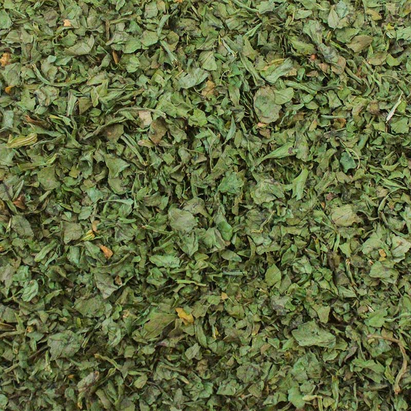 zoom coriandre en feuilles