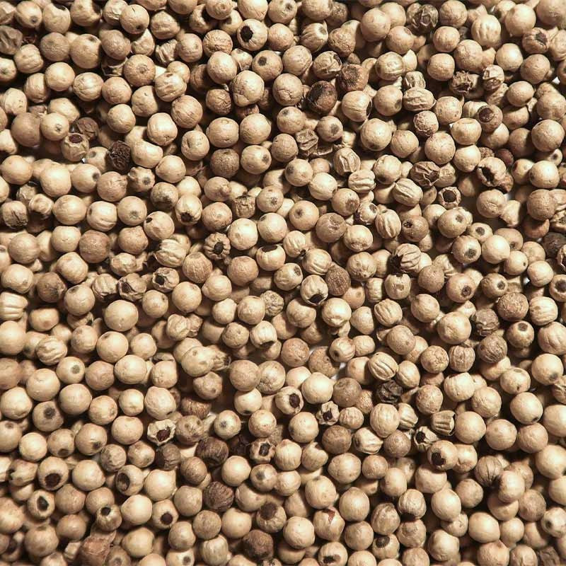 Poivre blanc de malabar zoom epice en sachet